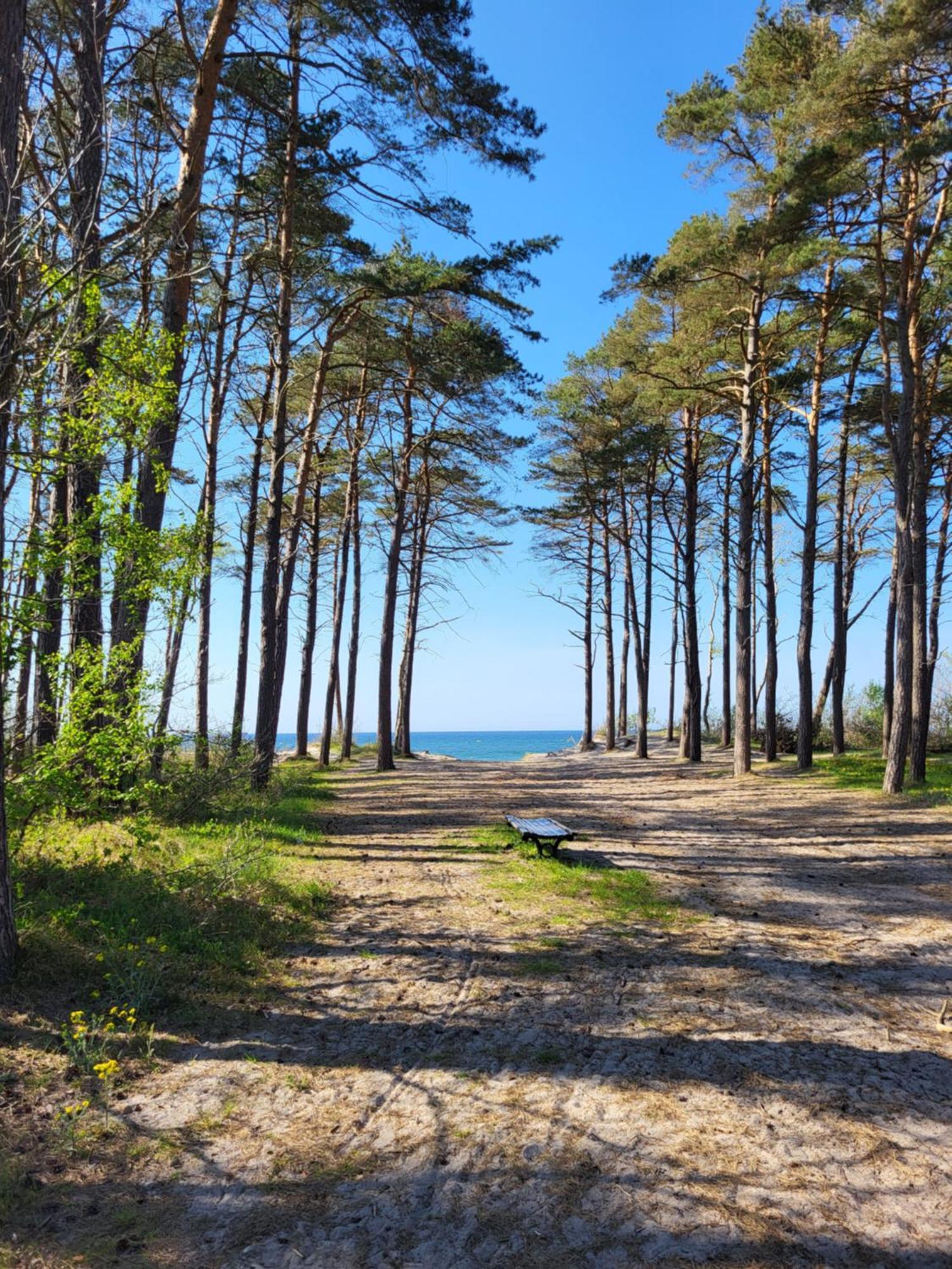 Domki Letniskowe ,,Tecza" Rusinowo  Exteriér fotografie